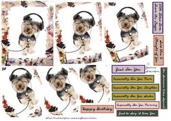 Musical Yorkie