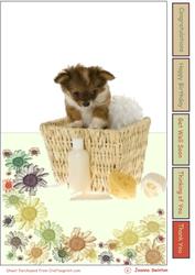 Washing Basket Pup