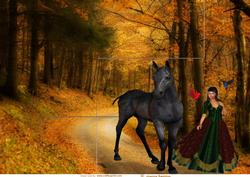 An Autumn Walk