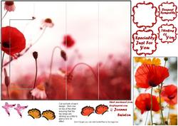 K Card Birthday Poppies Sheet 1