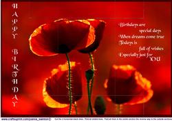Tri-fold Poppies