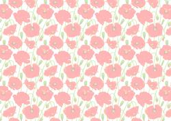 Beautiful Poppy Background Faded