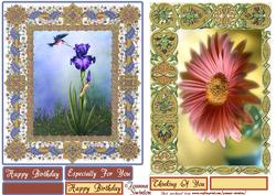Frames & Flowers Quick Cards