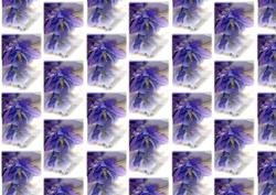 Lilac Flower Backing Paper
