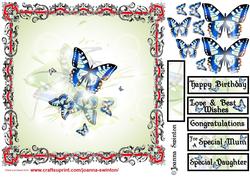 Beautiful Blue Butterflies