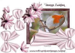 Beautiful Robin