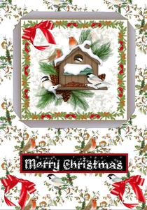 Christmas Birds Open Front Kit