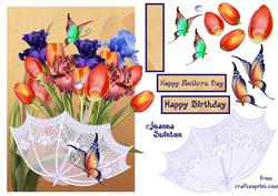 Parasol Flowers