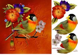 Beautiful Bird & Flower Card