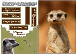 Envelope Card Meerkat