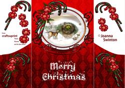 Fancy Gatefold Christmas Card