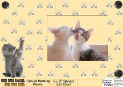 Pop Out Kittens