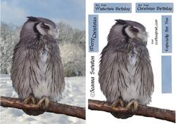 Christmas Birthday Owl
