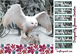 Christmas Birthday White Owl