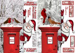 Santa's Beautiful Birds