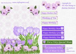 Lilac Pansy, Crocus and Tulip Card with Texture
