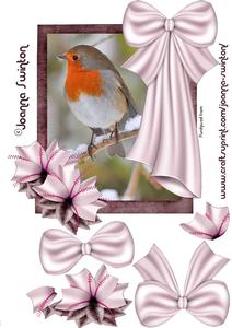 Beautiful Robin Robo