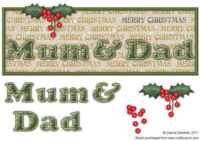 Mum & Dad Merry Christmas Holly Large Dl