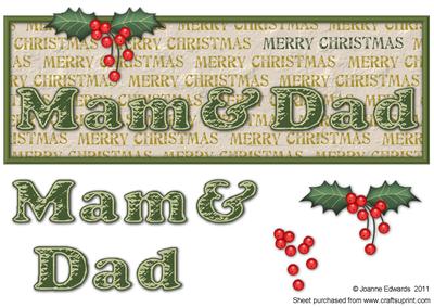 Mam & Dad Merry Christmas Holly Large Dl