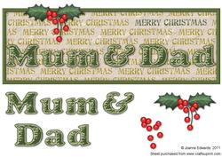 Mum & Dad Merry Christmas Holly Large Dl
