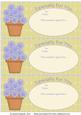 Flowerpot Vouchers - Especially for You