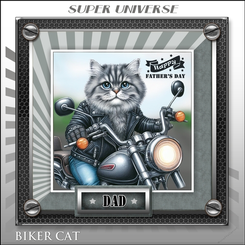 BIKER CAT 