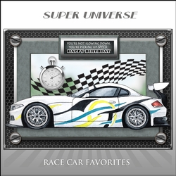 Race Car Favorites Mini Kit. 1