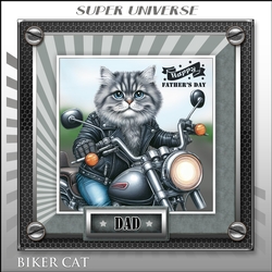 BIKER CAT 