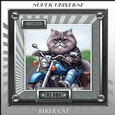 BIKER CAT 2