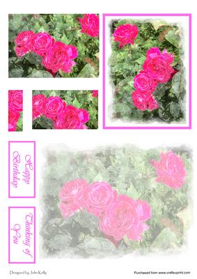 Pink Roses Watercolour - Pyramage
