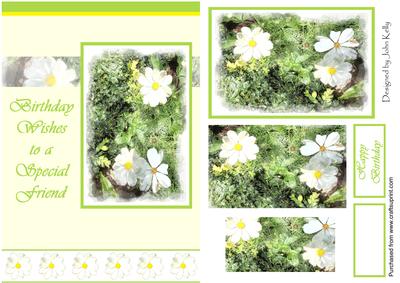 Daisies for a Special Friend - A5