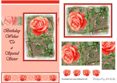 Roses Birthday Wishes to a Special Sister - A5