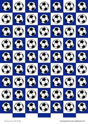 Footballs (blue & White)