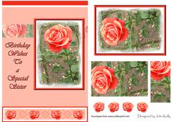 Roses Birthday Wishes to a Special Sister - A5