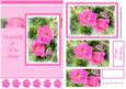 Petunias Especially for You Aunty - A5