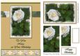 To You Nana on Your Birthday (beige) - A5