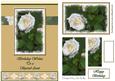 Birthday Wishes to a Special Aunt (beige) - A5