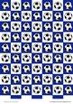 Footballs (blue & White)