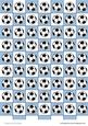Footballs (sky Blue & White)