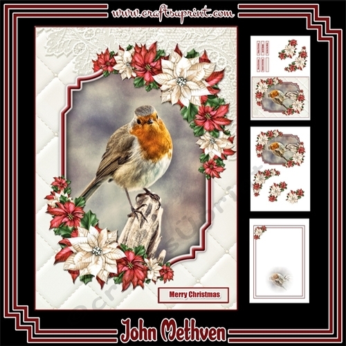 The Christmas Robin