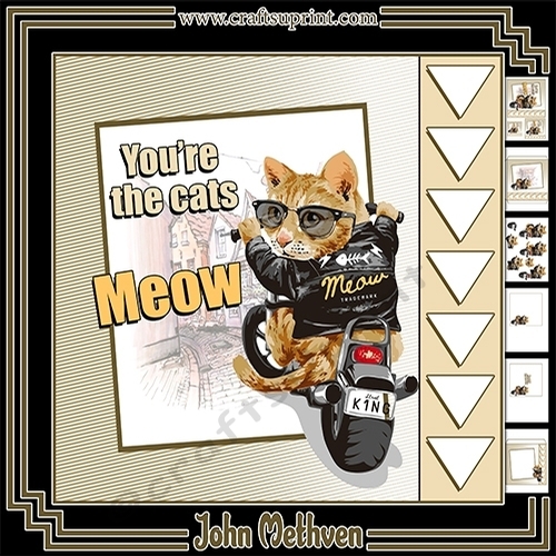 Youre the Cats Meow