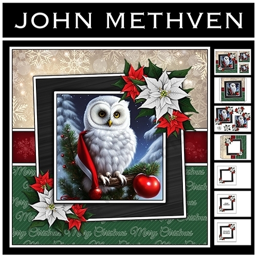 The Christmas Owl