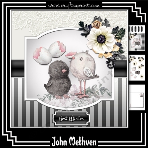 Birds Of A Feather 8x8 Mini Kit