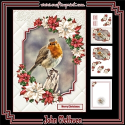The Christmas Robin