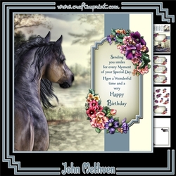 The Horses Gaze
