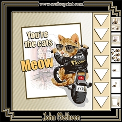 Youre the Cats Meow