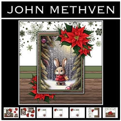 The Chistmas Bunny