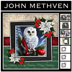 The Christmas Owl
