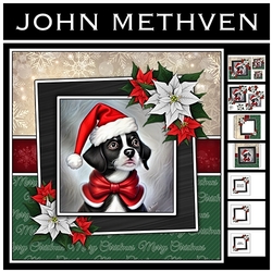 The Christmas Pooch