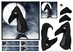 Toon Raven